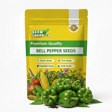 Bell Pepper Seeds