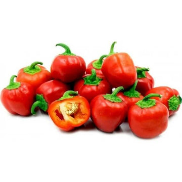 Bell Pepper Seeds -  Red Mini