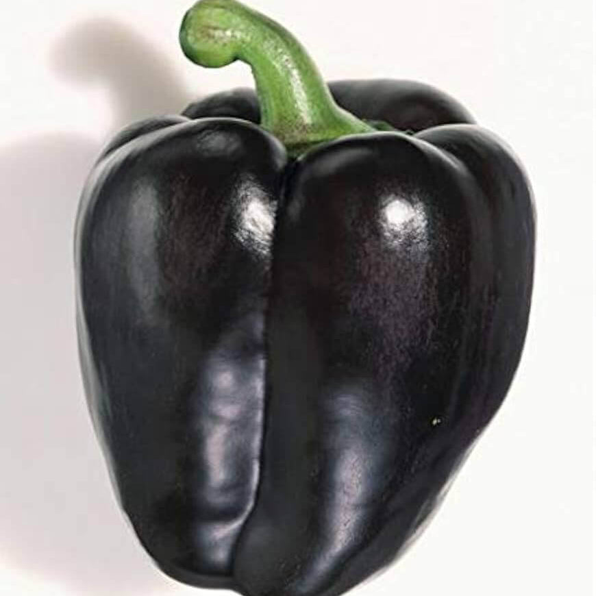 Bell Pepper Seeds – Black