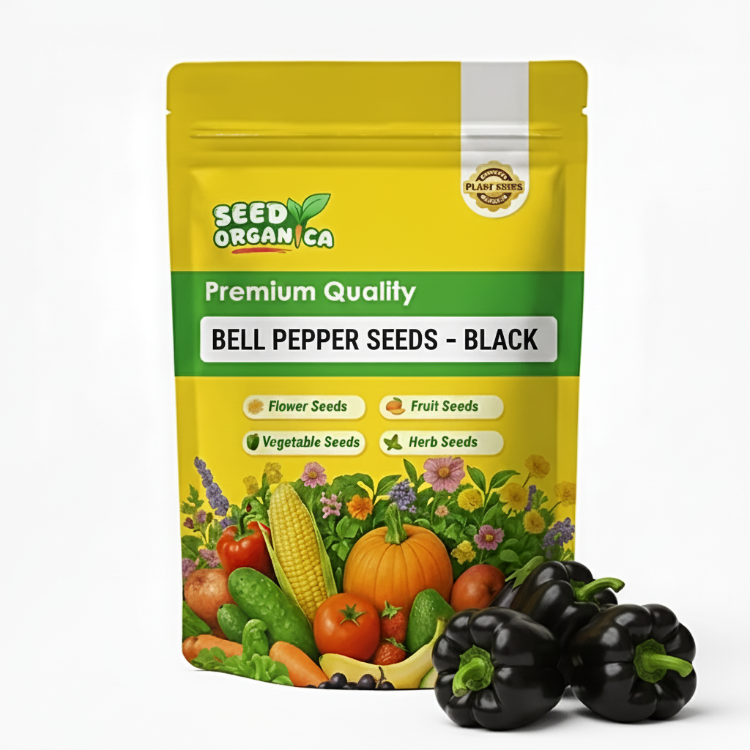 Bell Pepper Seeds – Black