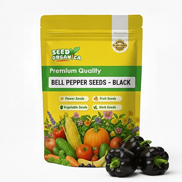 Bell Pepper Seeds – Black