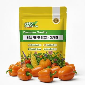 Bell Pepper Seeds – Orange