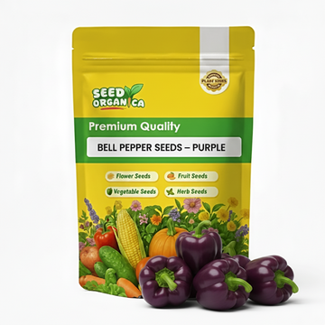 Bell Pepper Seeds – Purple