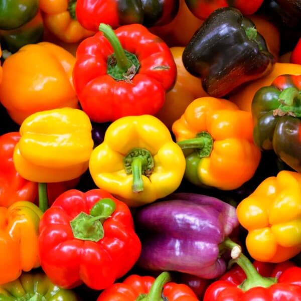 Bell Pepper Seeds – Rainbow