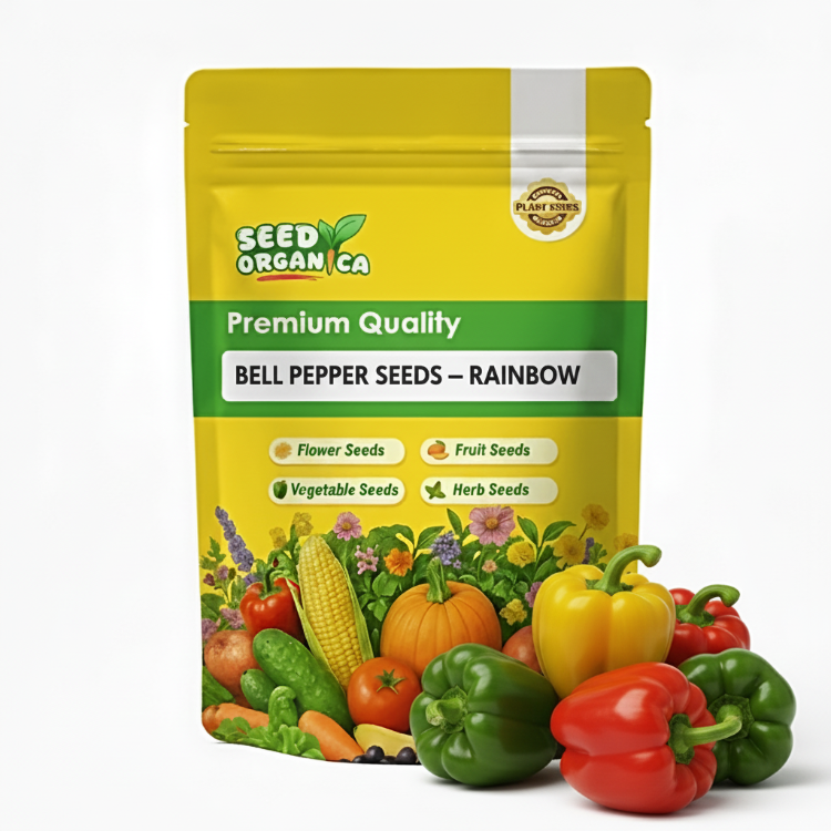 Bell Pepper Seeds – Rainbow