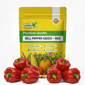 Bell Pepper Seeds – Red
