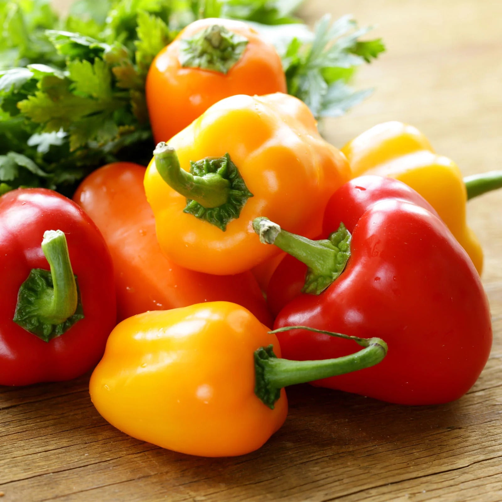 Bell Pepper Seeds – Sweet Mixed
