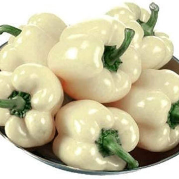 Bell Pepper Seeds – White 