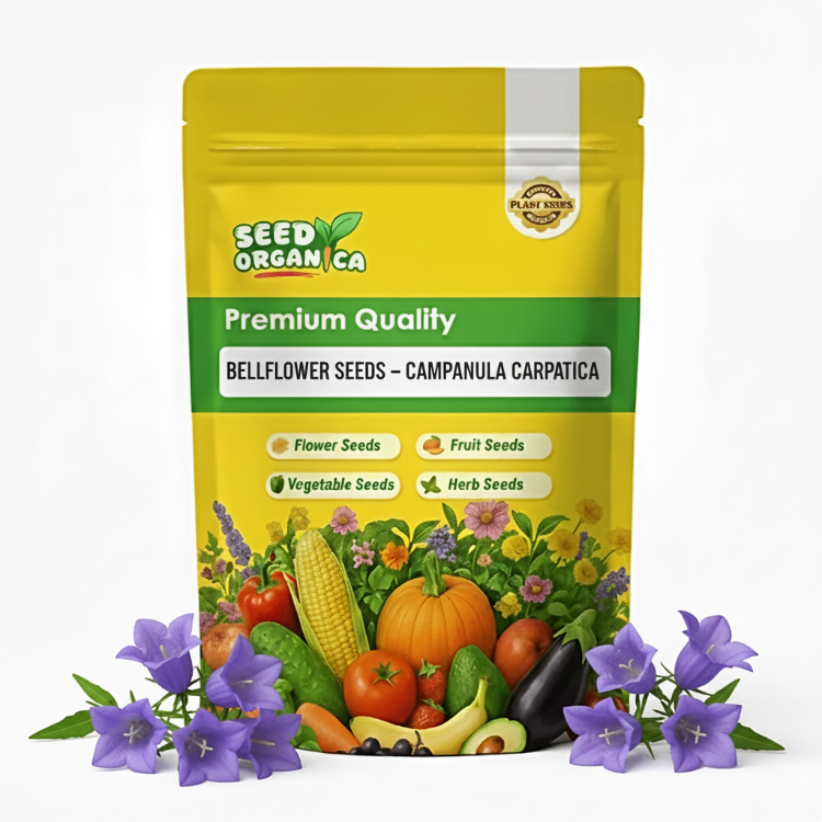 Bellflower Seeds – Campanula Carpatica