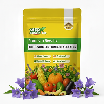 Bellflower Seeds – Campanula Carpatica
