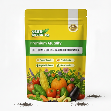 Bellflower Seeds – Lavender Campanula