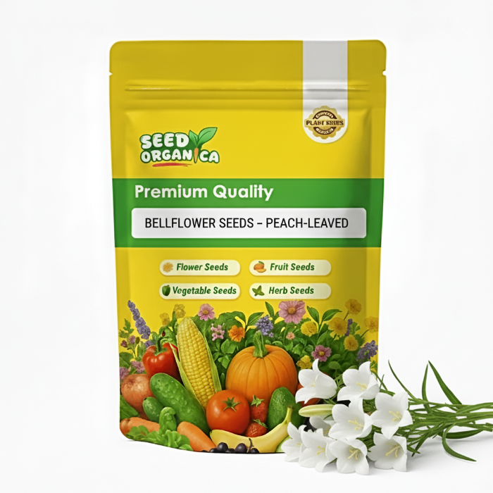 Bellflower Seeds – Peach-Leaved