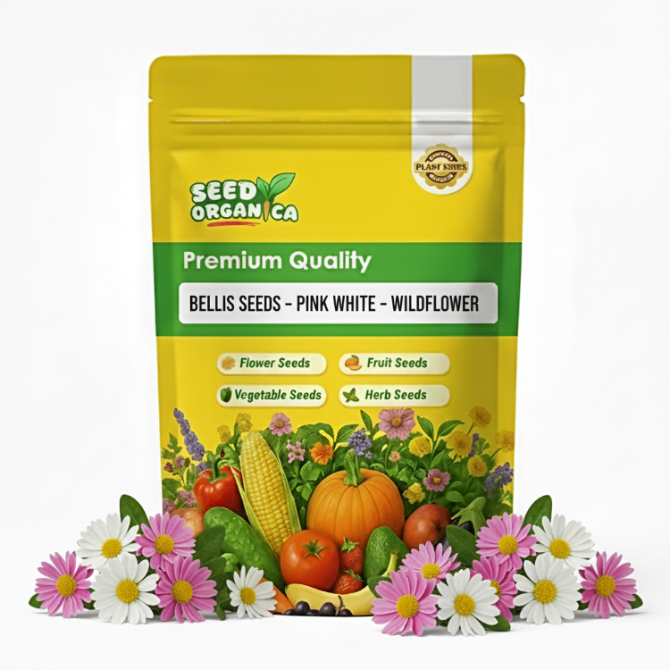 Bellis Seeds – Pink White – Wildflower