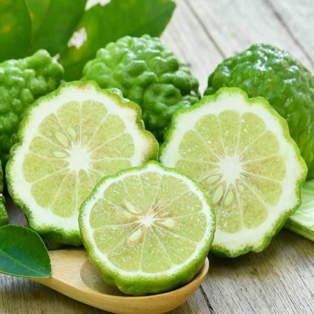Bergamot Seeds - Fruit Plant for Home Gardens