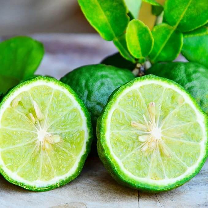 Bergamot Seeds - Fruit Plant for Home Gardens