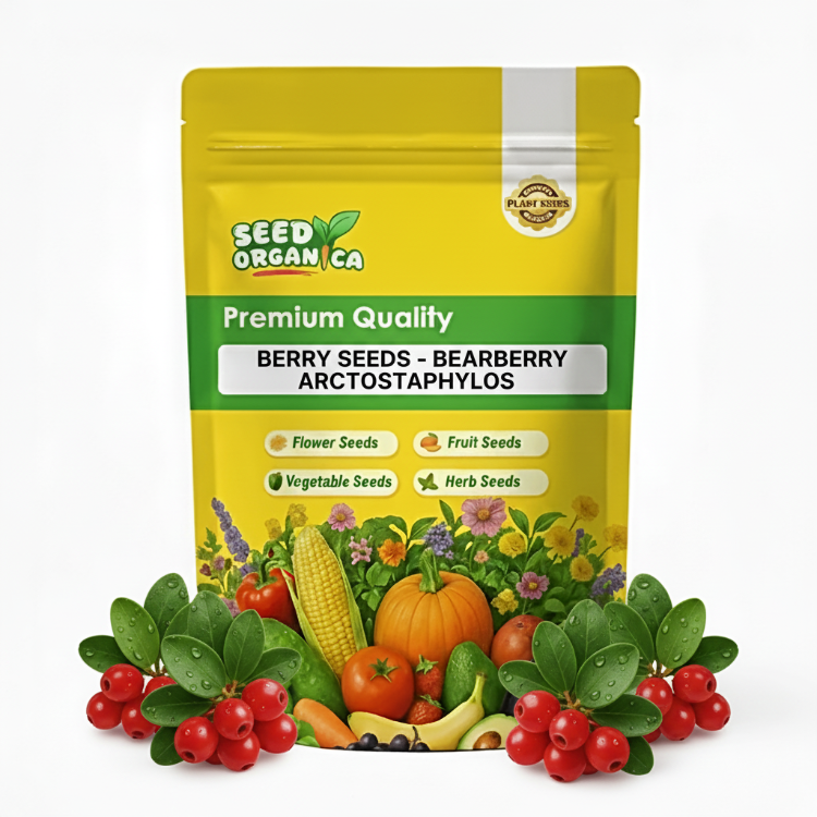 Berry Seeds- Bearberry Arctostaphylos