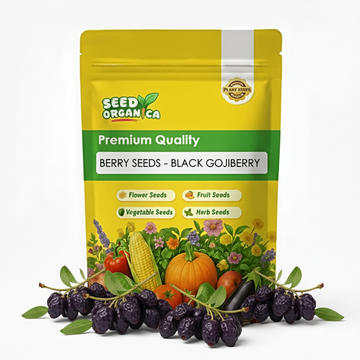 Berry Seeds - Black GojiBerry