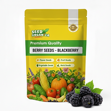 Berry Seeds - Blackberry