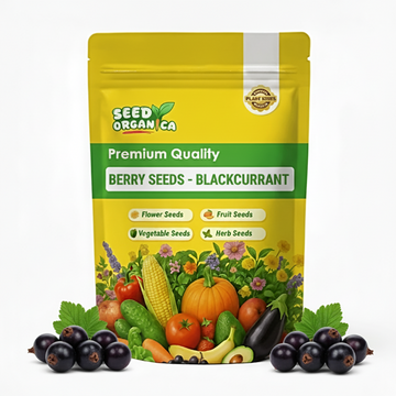 Berry Seeds - Blackcurrant
