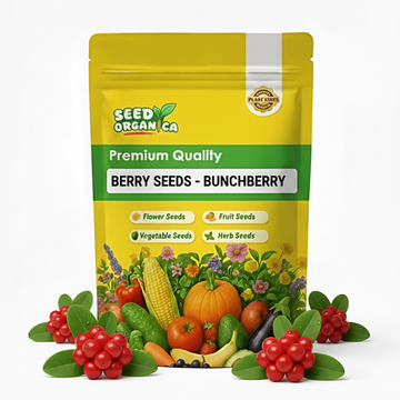 Berry Seeds - Bunchberry