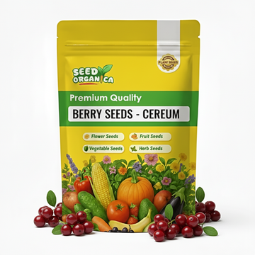 Berry Seeds - Cereum