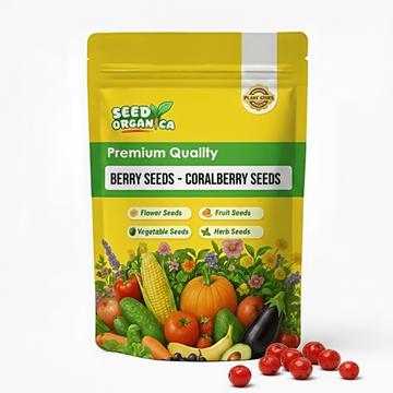 Berry Seeds - Coralberry Seeds