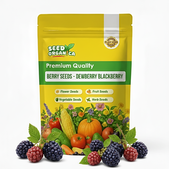 Berry Seeds - Dewberry Blackberry