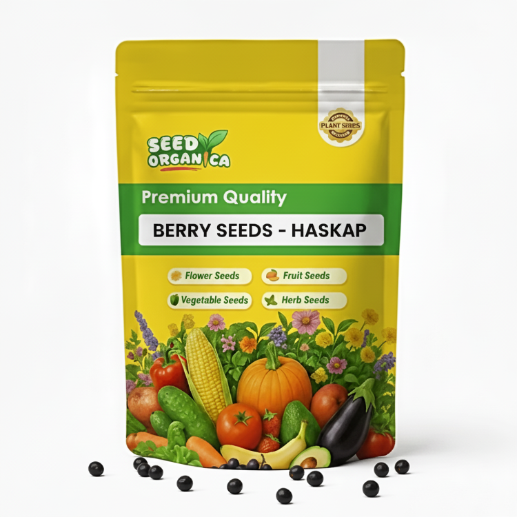 Berry Seeds - Haskap