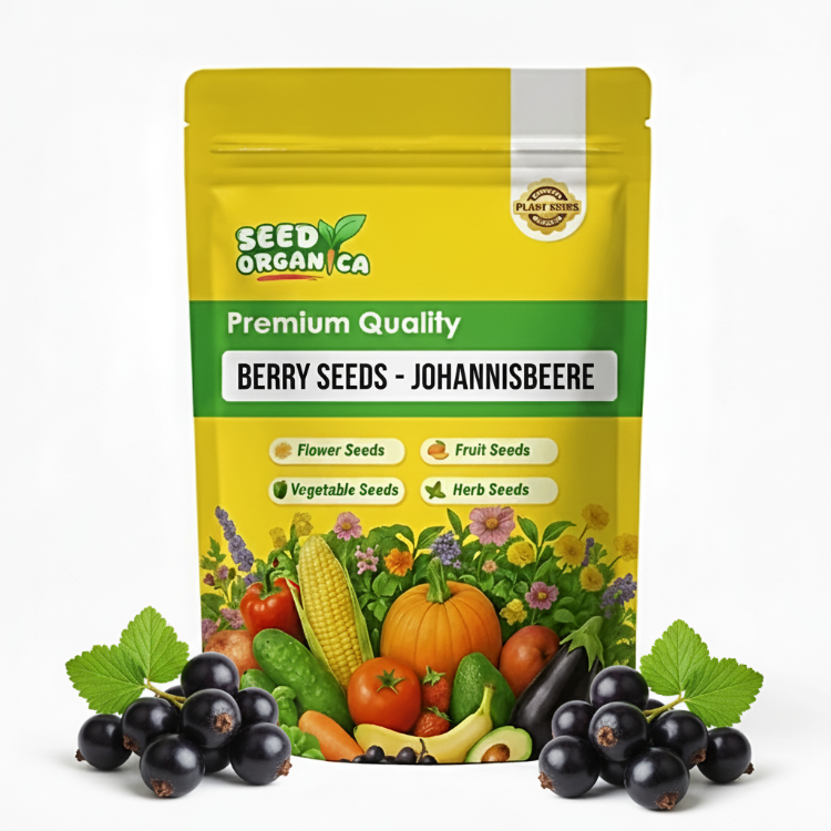 Berry  Seeds - Johannisbeere