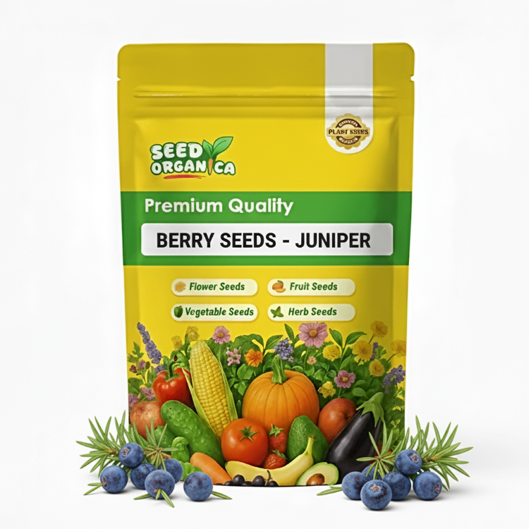 Berry Seeds - Juniper