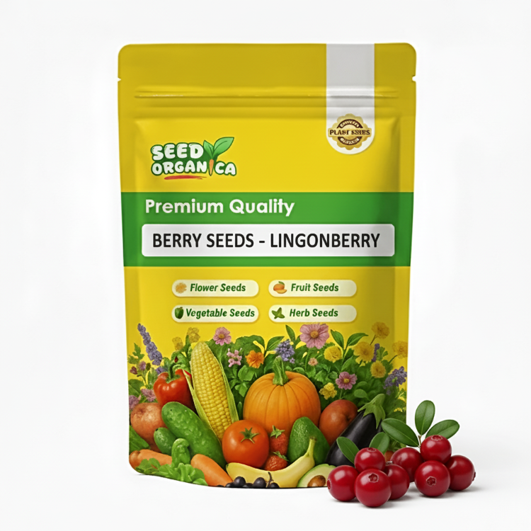 Berry Seeds - Lingonberry
