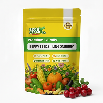 Berry Seeds - Lingonberry