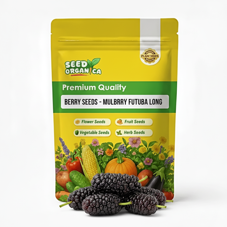 Berry Seeds - Mulberry Futuba Long