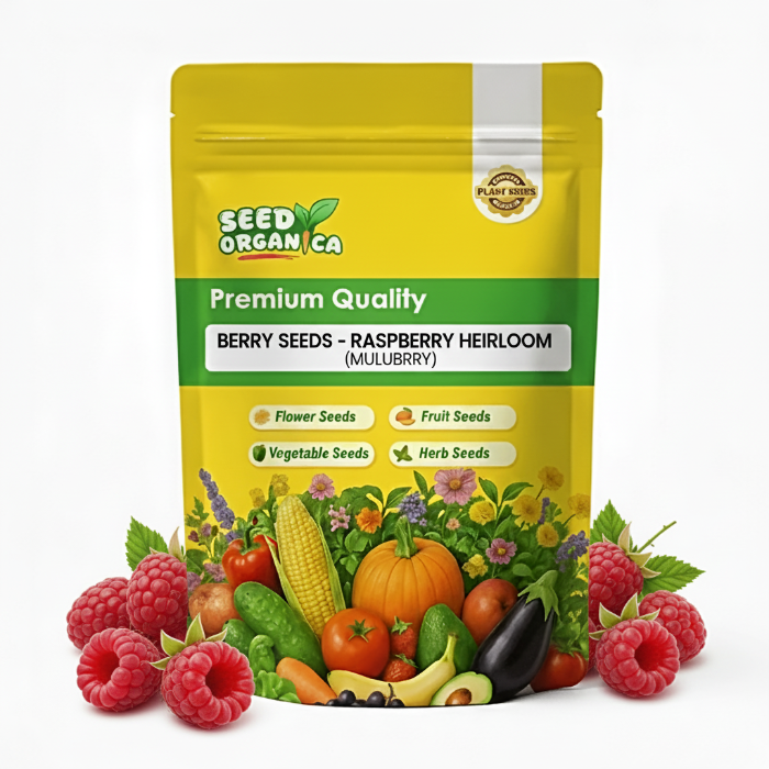 Raspberry Seed Packets Berry Seeds - Raspberry Heirloom