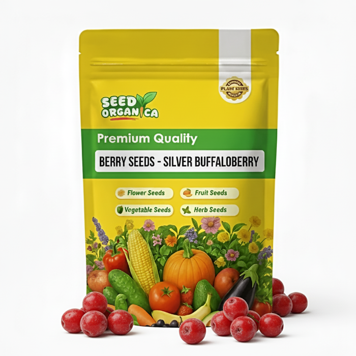 Berry Seeds - Silver Buffaloberry