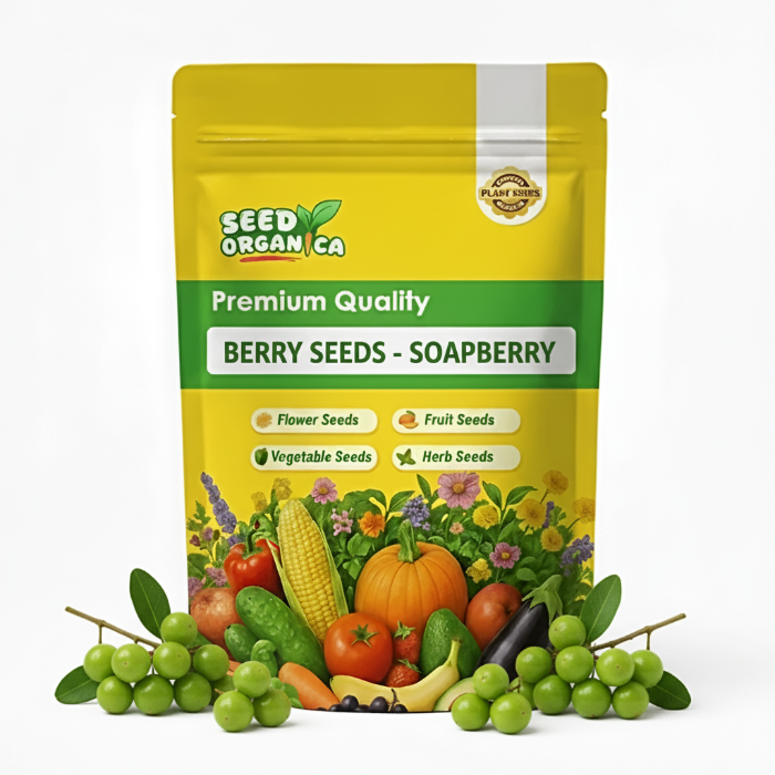 Berry Seeds - Soapberry