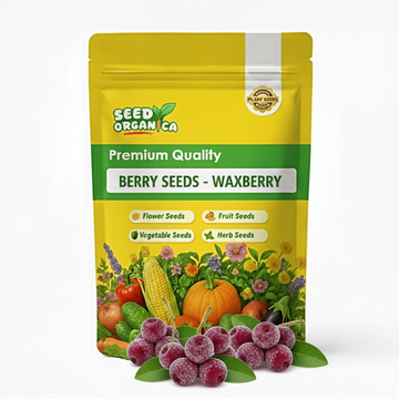 Berry Seeds - Waxberry