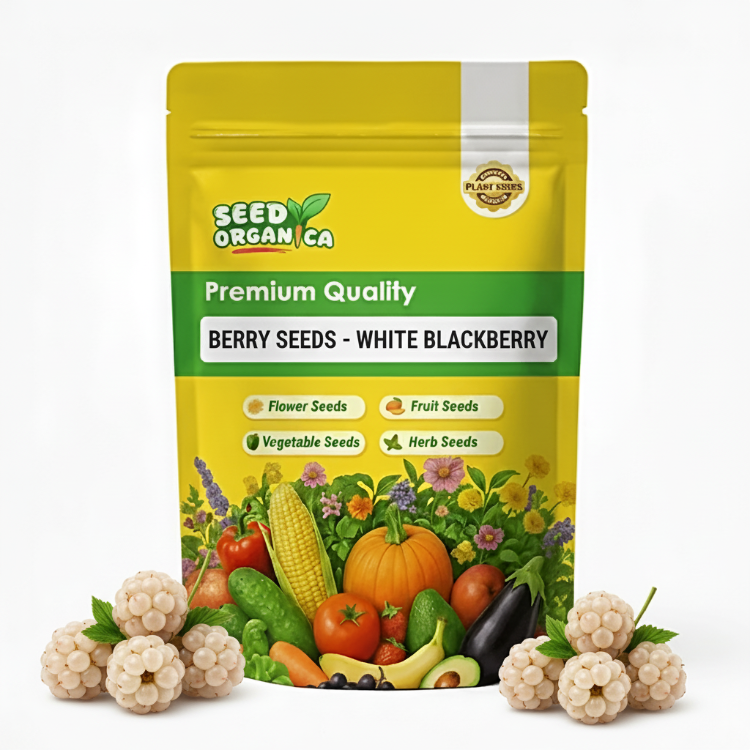 Berry Seeds - White Blackberry