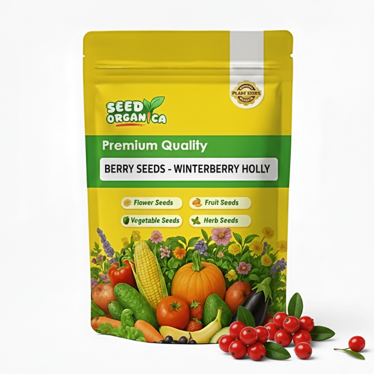 Berry Seeds - Winterberry Holly