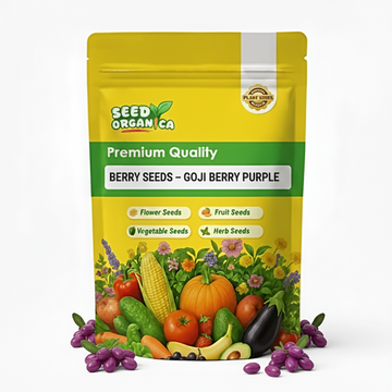 Berry Seeds  – Goji Berry Purple