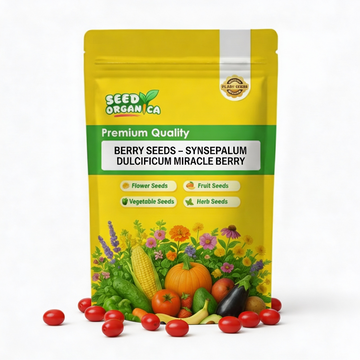 Berry Seeds – Synsepalum Dulcificum Miracle Berry
