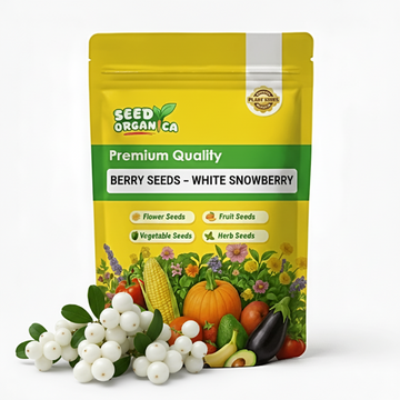 Berry Seeds – White SnowBerry