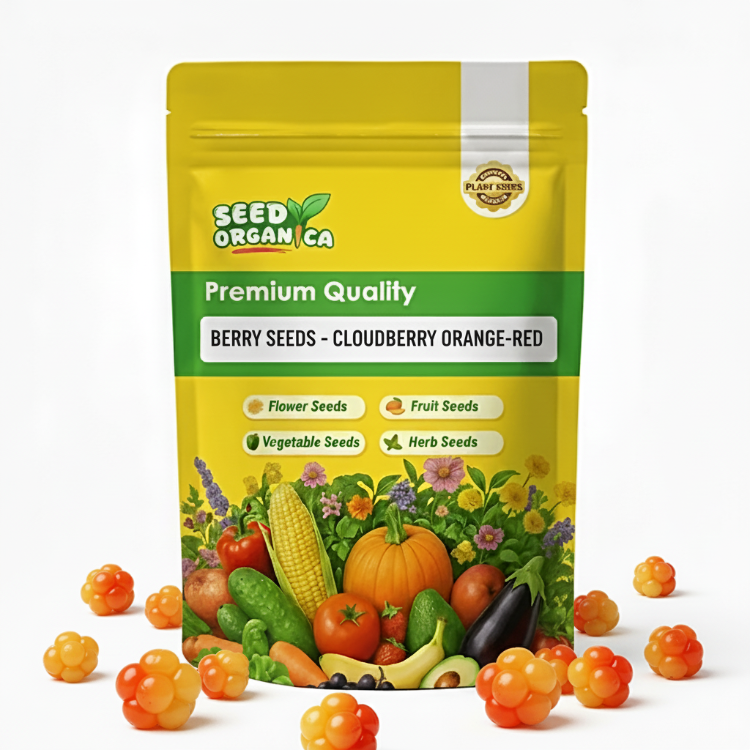 Berry seeds - Cloudberry Orange-Red