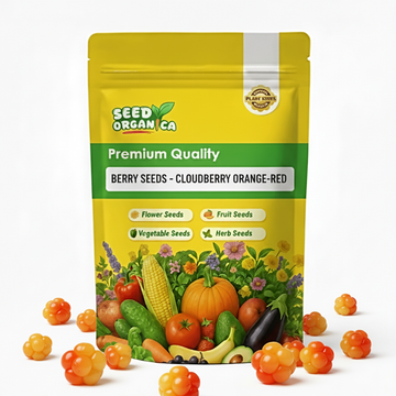 Berry seeds - Cloudberry Orange-Red