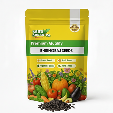 Bhringraj Seeds
