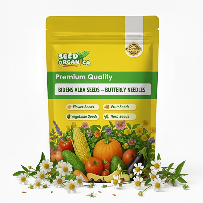 Bidens Alba Seeds – Butterfly Needles