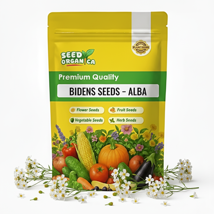 Bidens Seeds – Alba