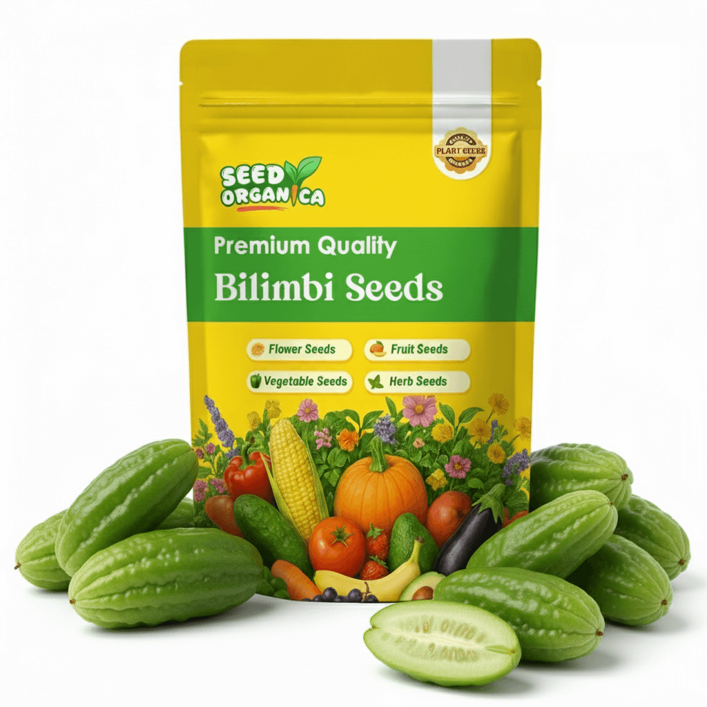 Bilimbi Seeds - Cucumber
