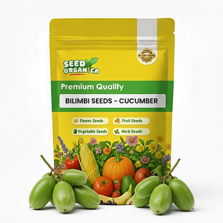 Bilimbi Seeds - Cucumber