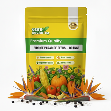 Bird of Paradise Seeds – Orange